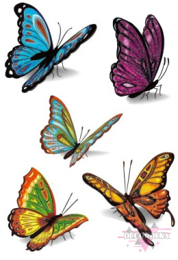 Tatuaże wodne 11 motyle