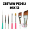 ZESTAW PĘDZLI MIX 12