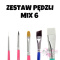 ZESTAW PĘDZLI MIX 6